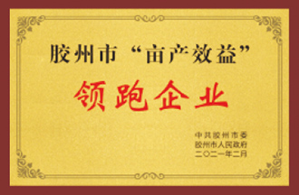 領跑企業(yè)